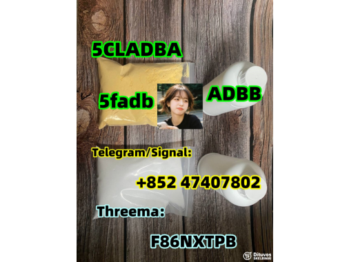  5cladba raw material 5CL-ADB-A precursor raw 