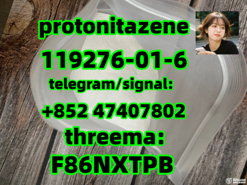  Protonitazene CAS 119276-01-6