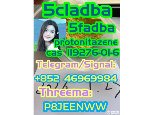  Protonitazene CAS 119276-01-6
