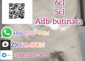 Peržiūrėti skelbimą - Buy 6CL-ADB A Online, Threema_ZX6ZM8UN,